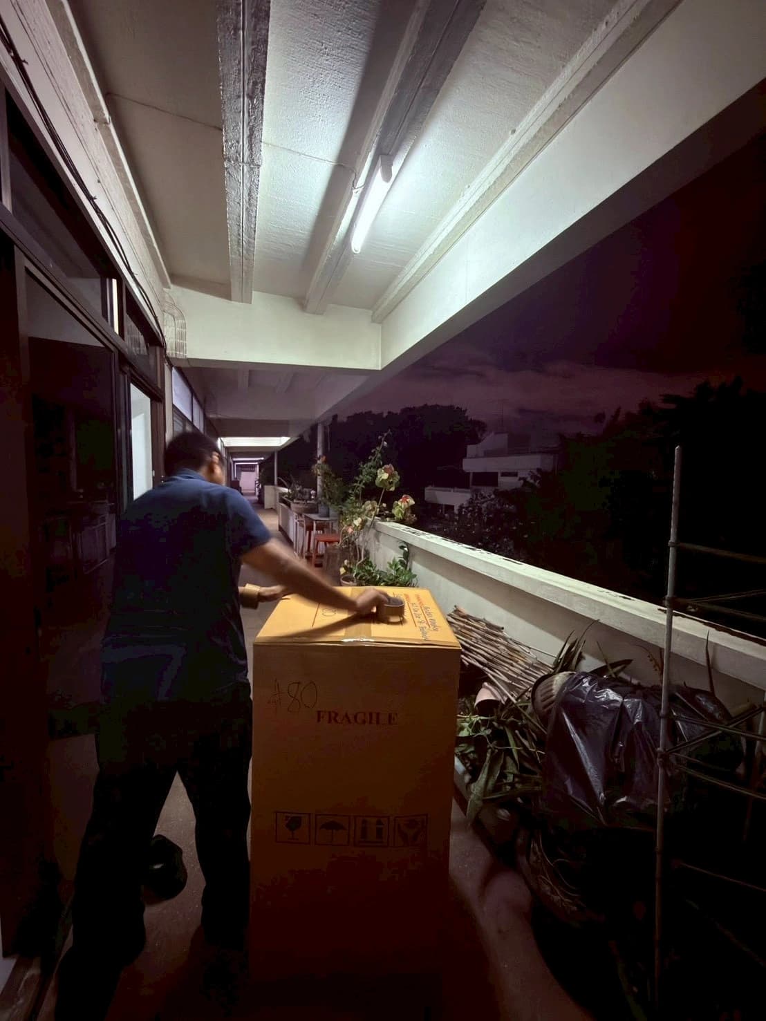 บริการบาลิกบายัน Seabra Movers 1