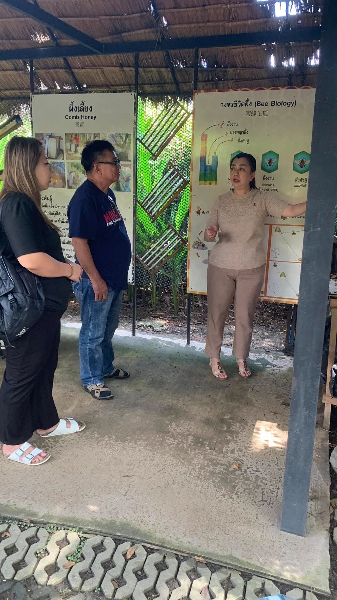 Seabra Travel and Tours 1