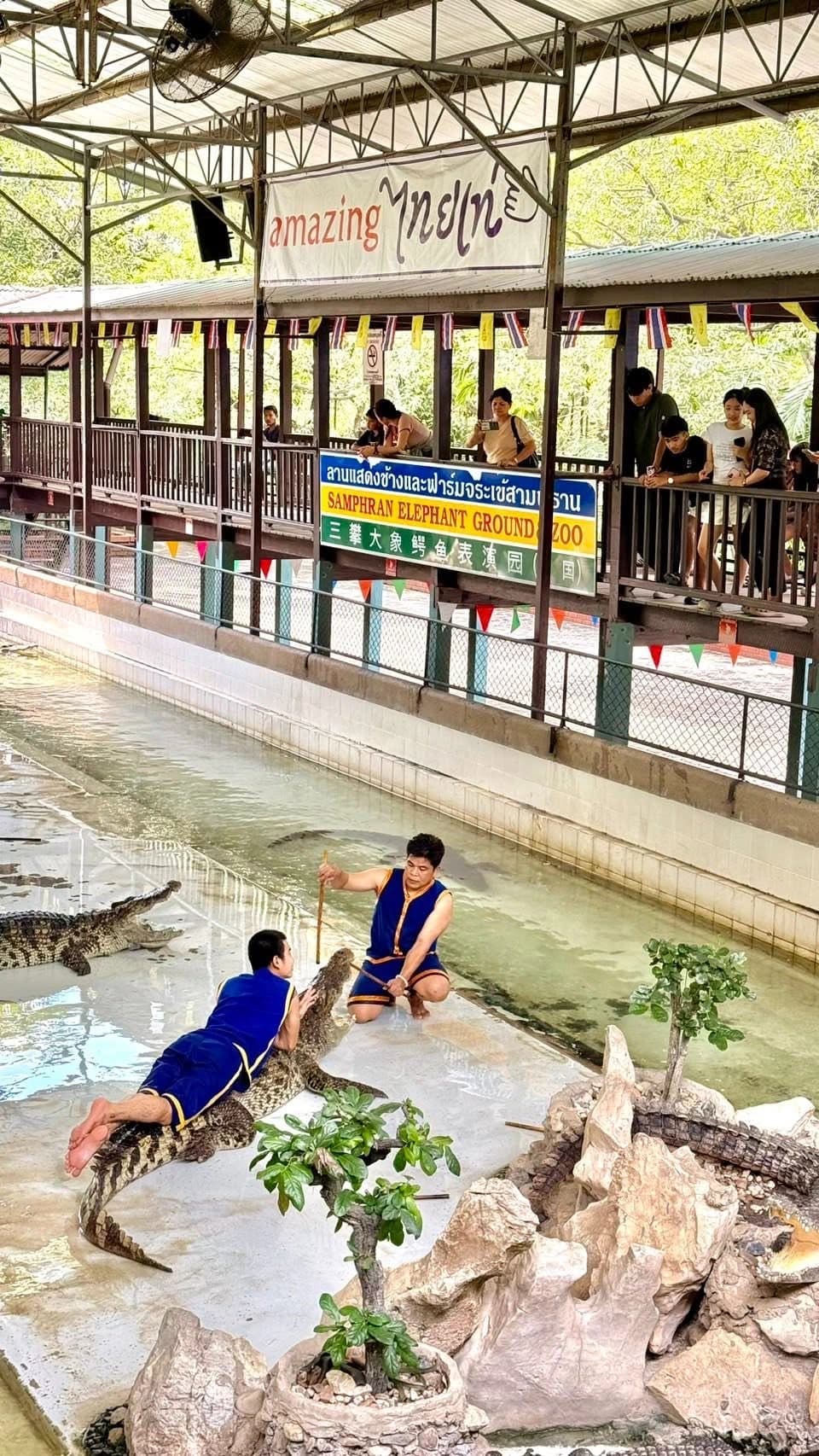 Seabra Travel and Tours 9