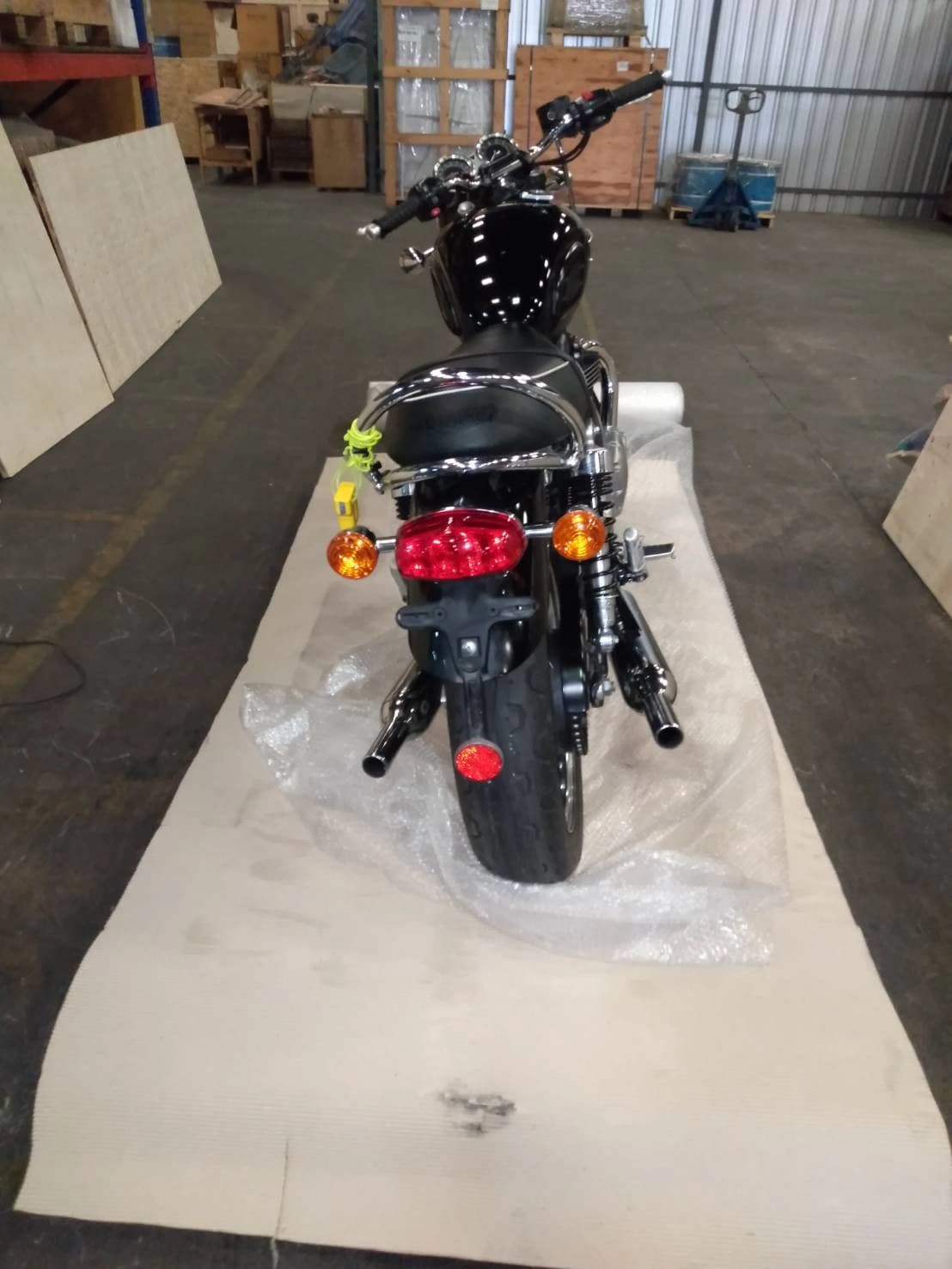 ภาพบริการขนย้ายสัตว์เลี้ยง Seabra Movers 3