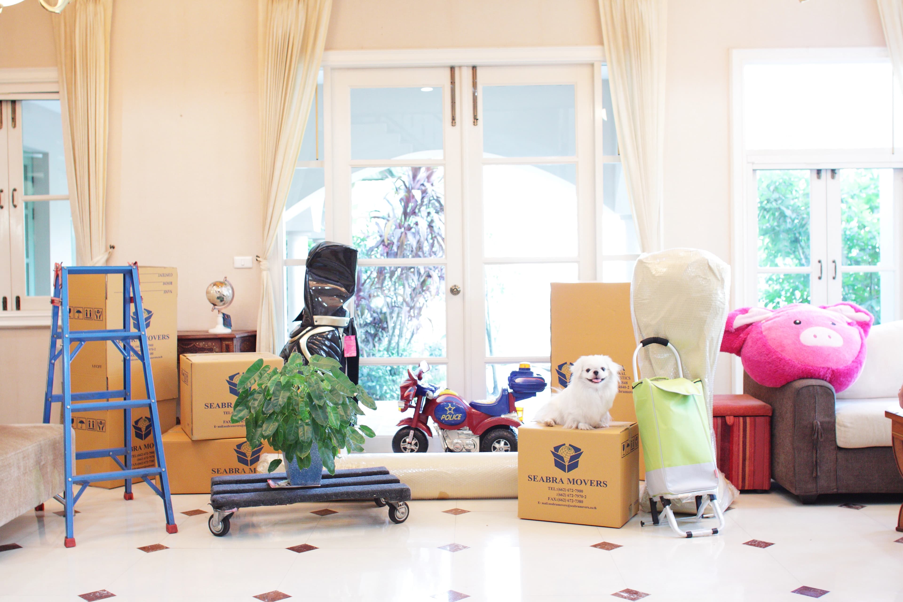 ภาพบริการขนย้ายสัตว์เลี้ยง Seabra Movers 4